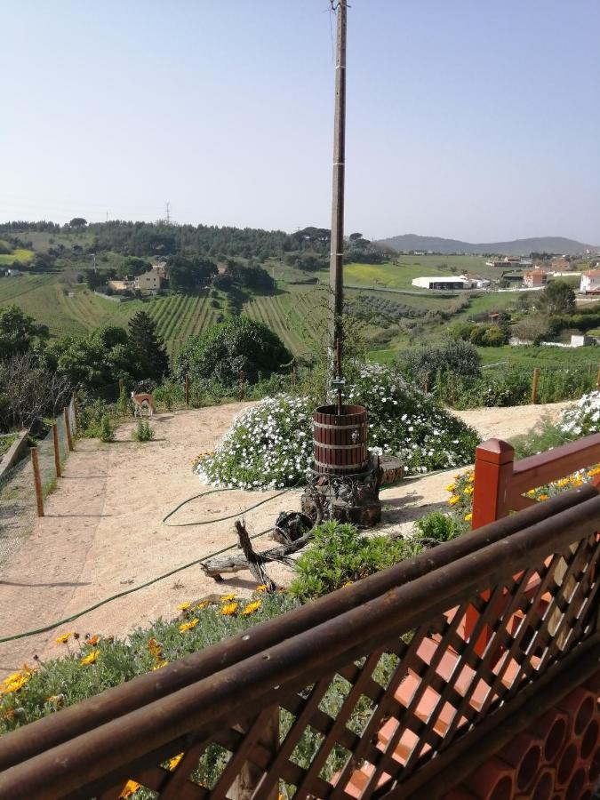 Varandas Da Serra II Vila Franca de Xira Εξωτερικό φωτογραφία